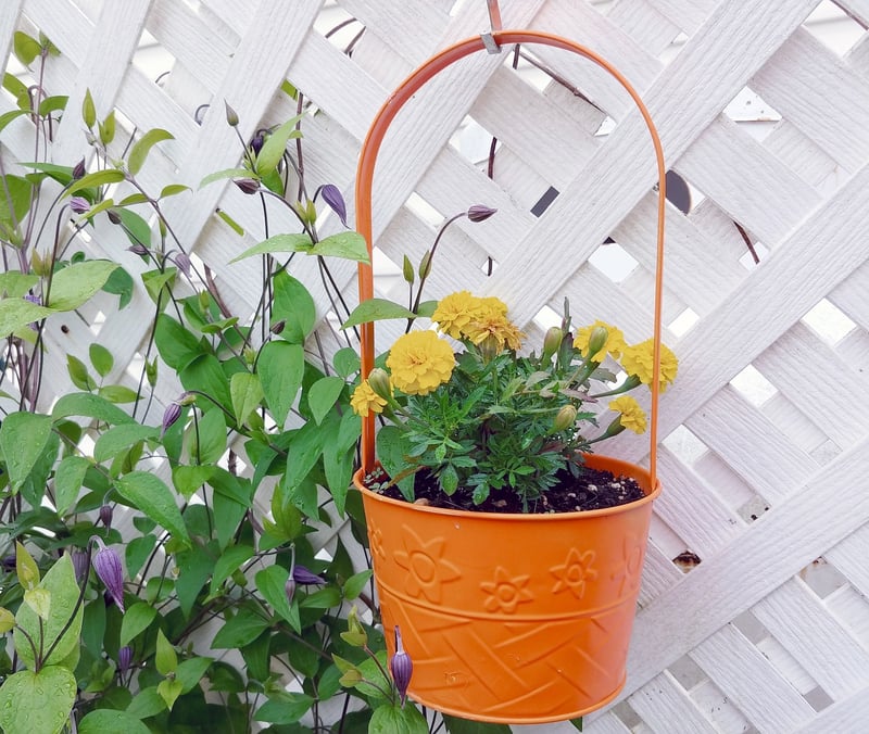 Outdoor Decor DIYs
